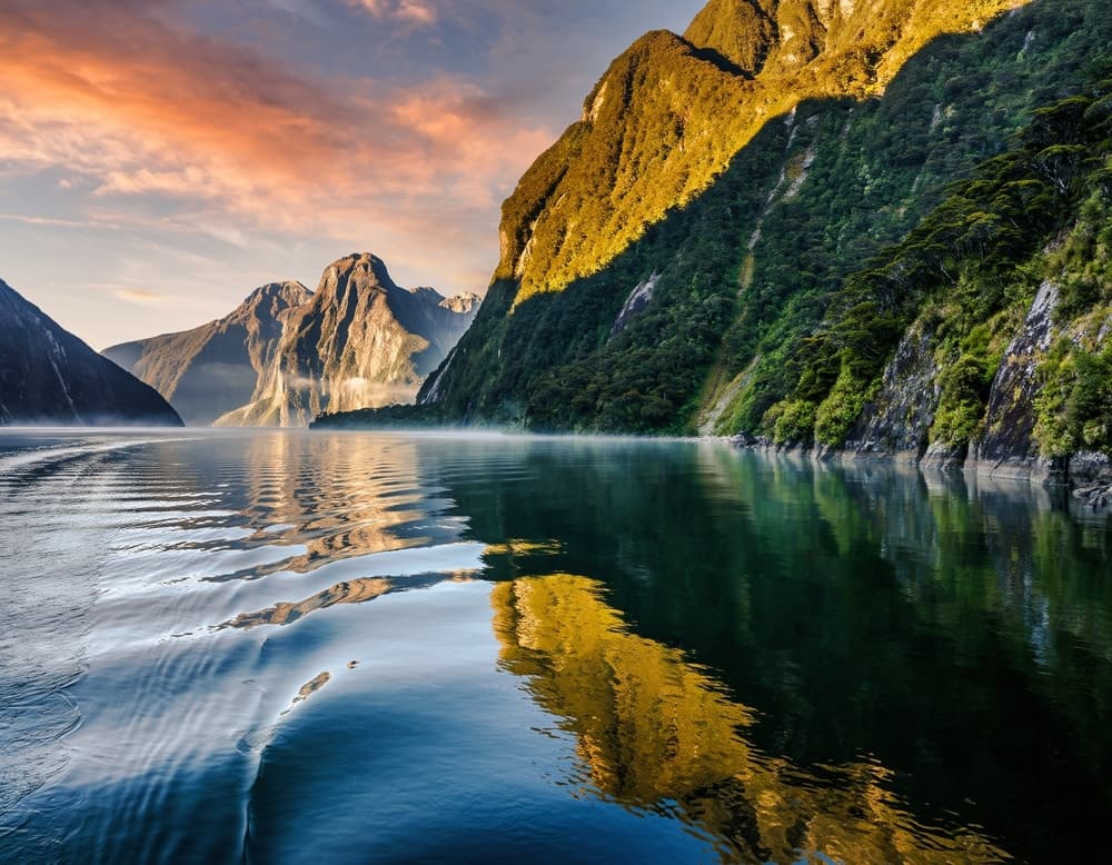 https://d300zch48kanqv.cloudfront.net/original_images/shutterstock_2712355427.jpg
